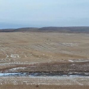 Meet your Posher, Wren